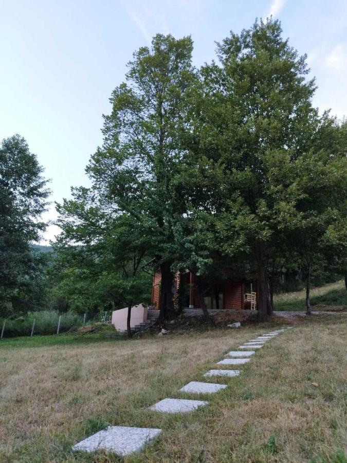 Kuca U Sumi - Forest House Near National Park Una - Air Spa Lohovo Bihac Exterior photo