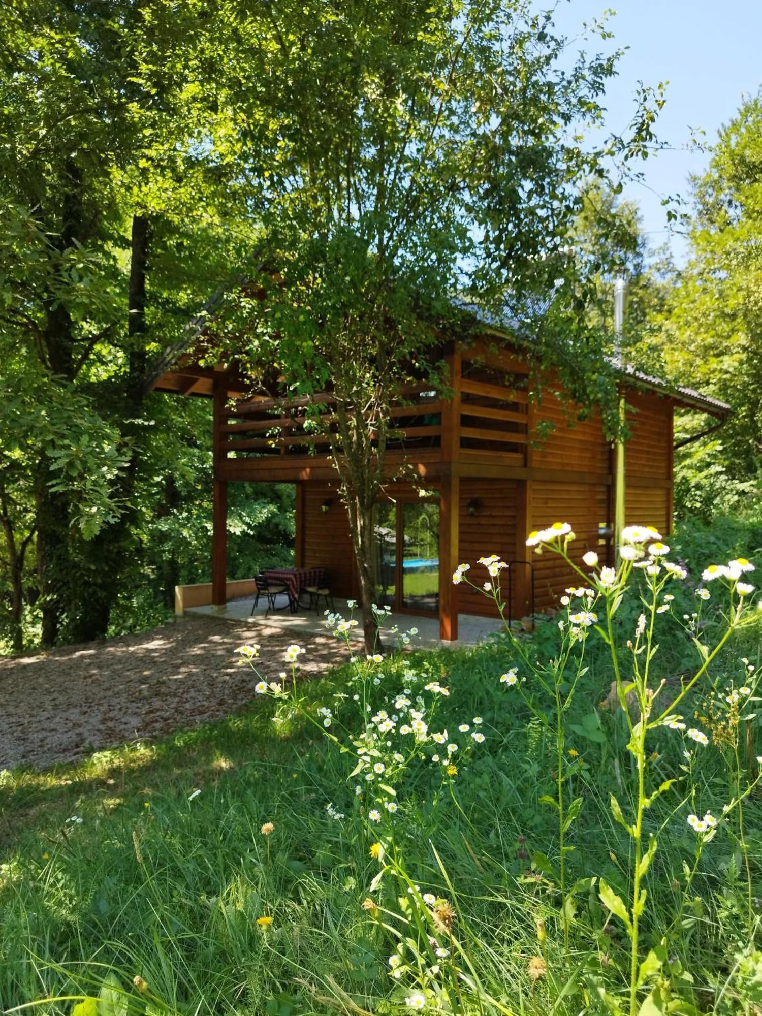 Kuca U Sumi - Forest House Near National Park Una - Air Spa Lohovo Bihac Exterior photo